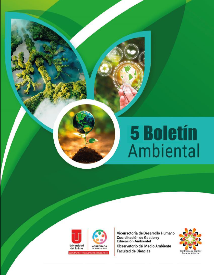 Boletin N 5 imagen