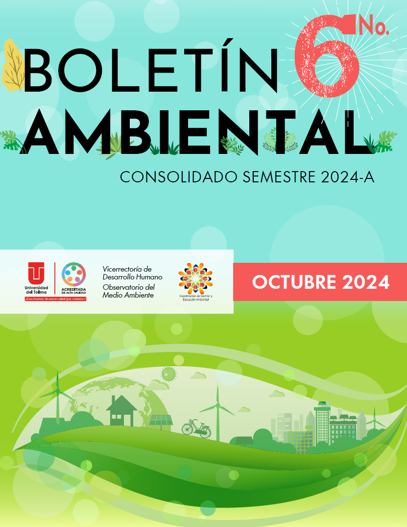 Boletin N 6 imagen